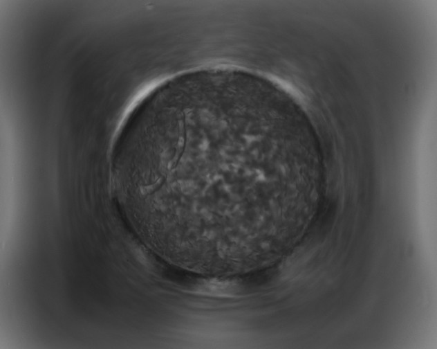 X0000086921271200704161355