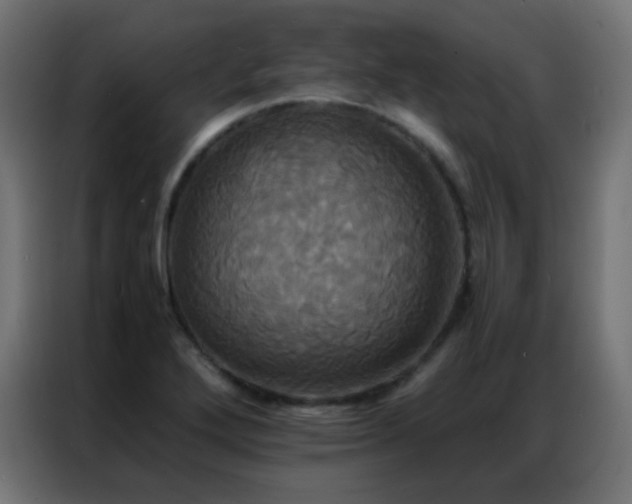 X0000086921272200704161355