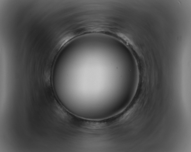 X0000086921273200704161355