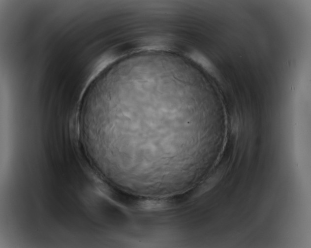 X0000086921274200704161355