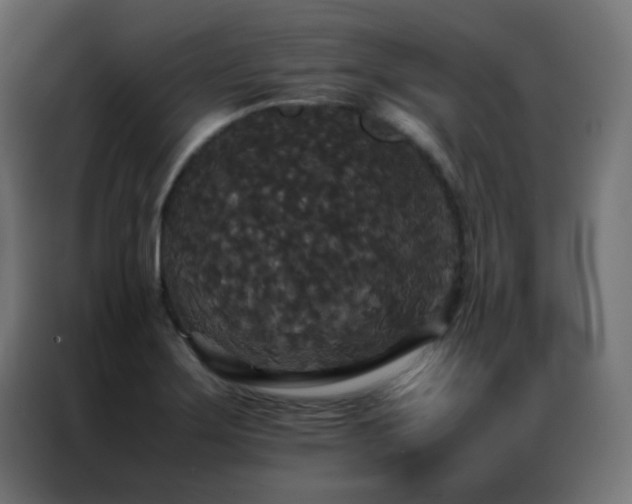 X0000086921275200704161355