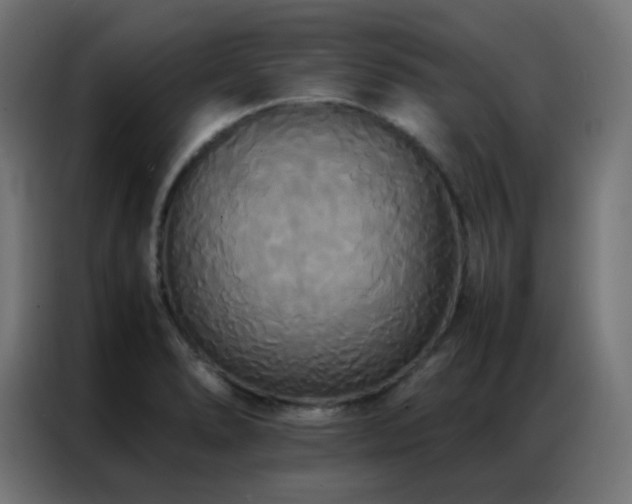 X0000086921278200704161355