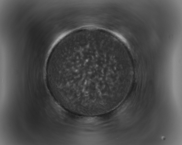 X0000086921279200704161355