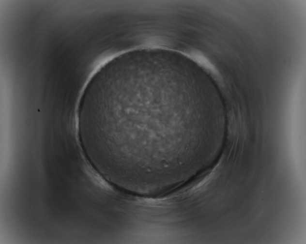 X0000086921280200704161355
