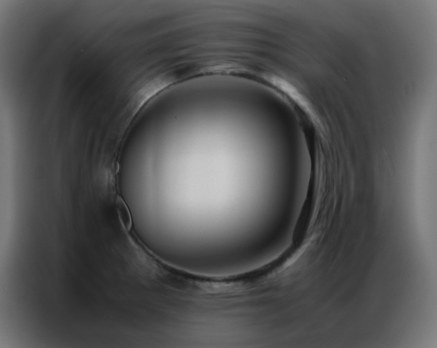 X0000086921281200704161355