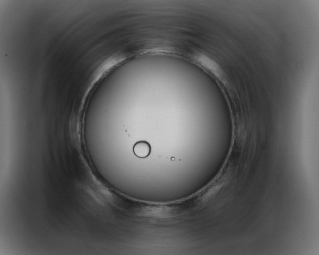X0000086921282200704161355