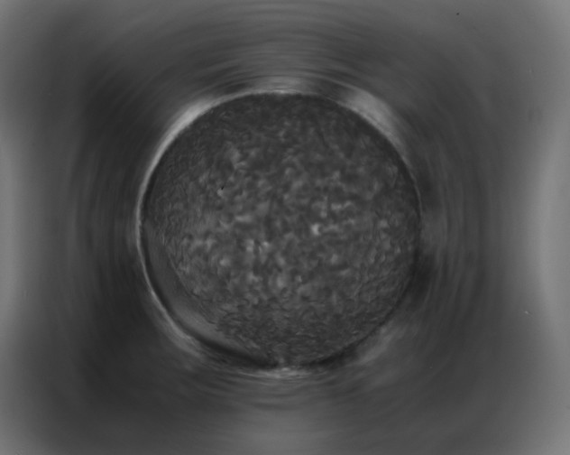 X0000086921283200704161355