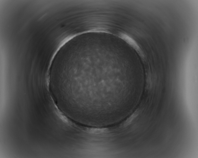 X0000086921284200704161355