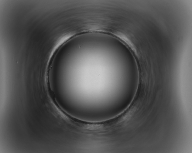 X0000086921285200704161355