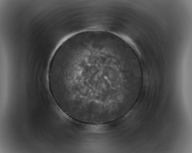 X0000086921288200704161355
