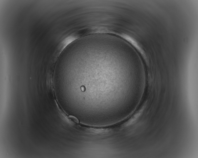 X0000086921289200704161355