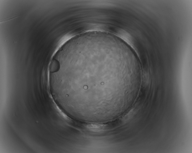 X0000086921290200704161355