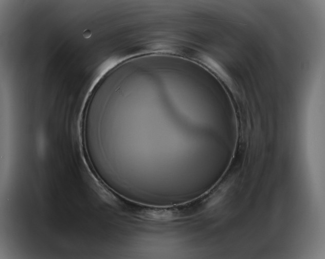 X0000086921291200704161355