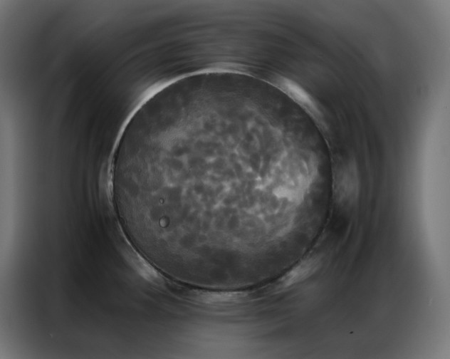 X0000086921292200704161355