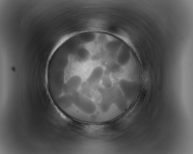 X0000086921294200704161354