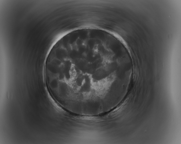 X0000086921295200704161354