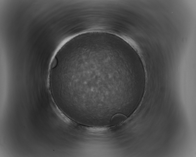 X0000086921296200704161354
