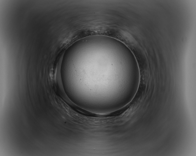 X0000086921298200704161354