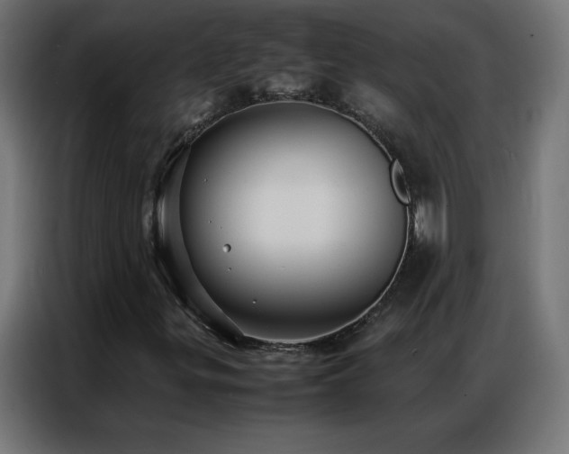 X0000086921299200704161354