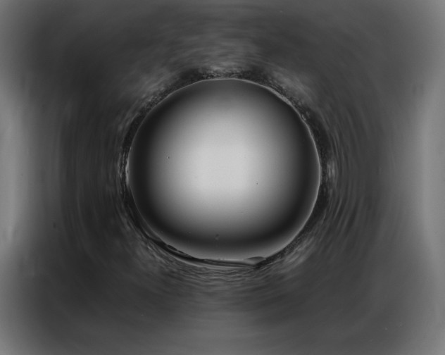 X0000086921300200704161354