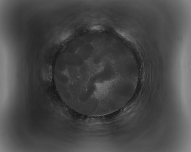 X0000086921301200704161354
