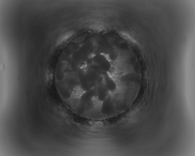 X0000086921302200704161354