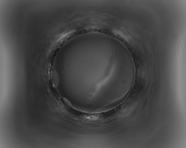 X0000086921303200704161354