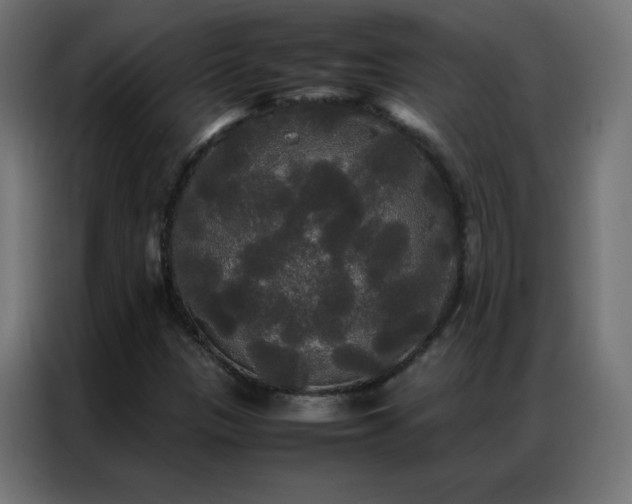 X0000086921305200704161354