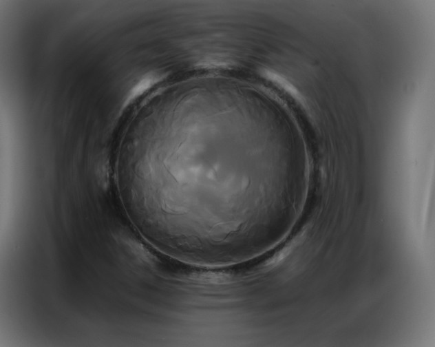 X0000086921306200704161354
