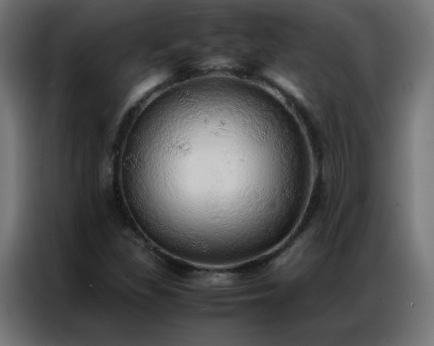 X0000086921309200704161354