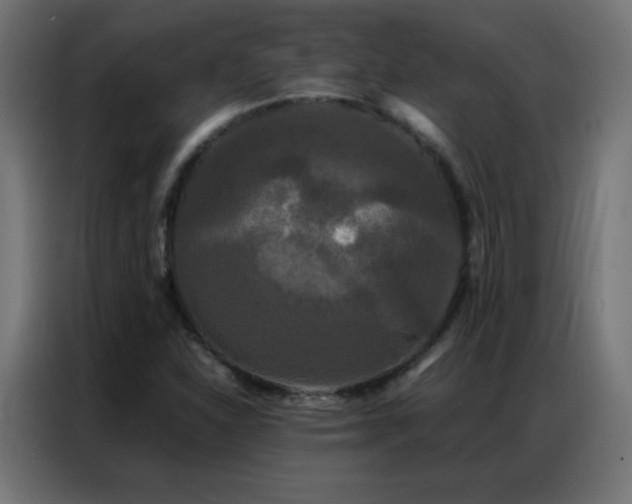 X0000086921310200704161354