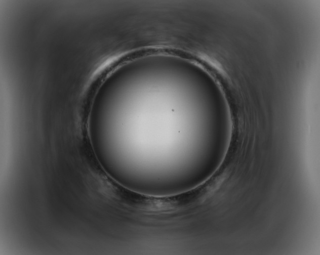 X0000086921311200704161354