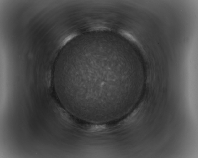 X0000086921313200704161354