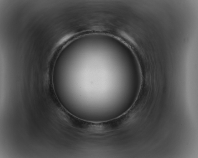 X0000086921315200704161354