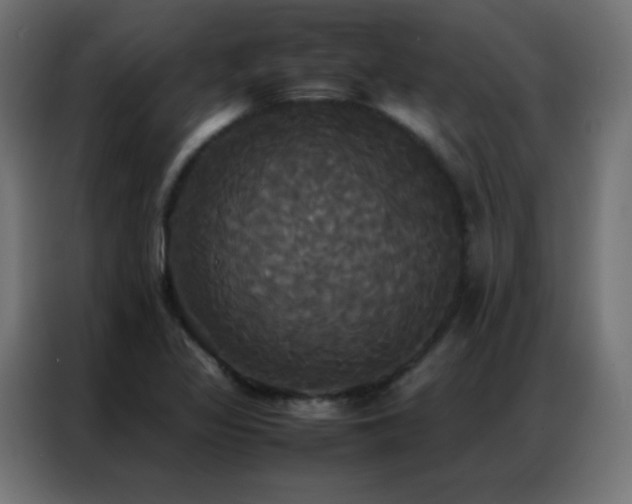 X0000086921317200704161354