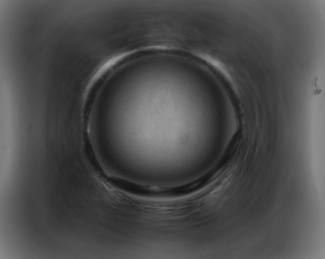 X0000086921319200704161354