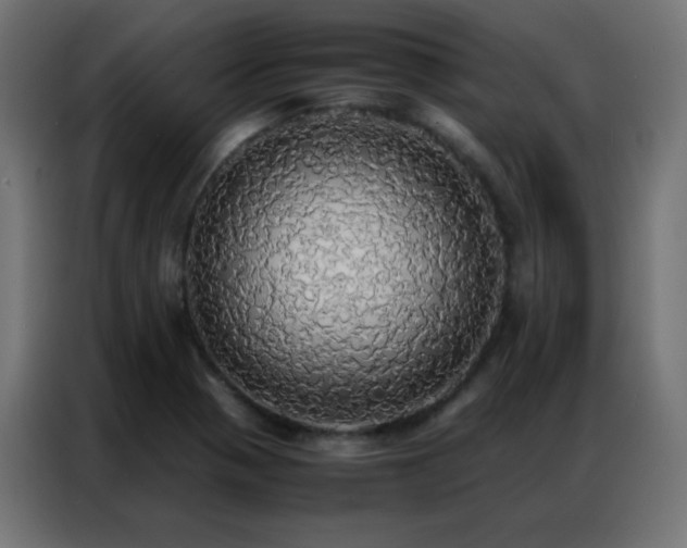 X0000086921321200704161354