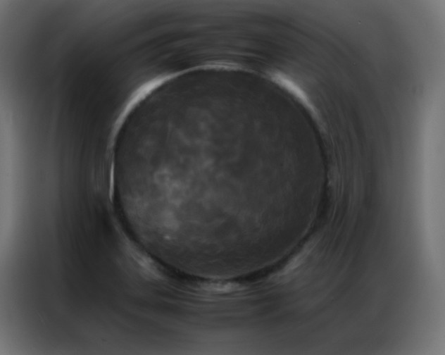 X0000086921323200704161354