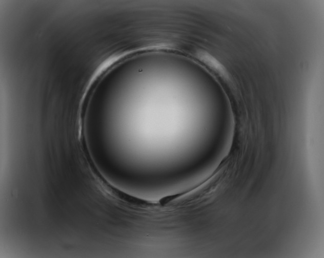 X0000086921324200704161354