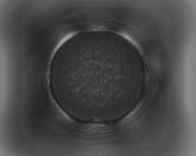 X0000086921325200704161354