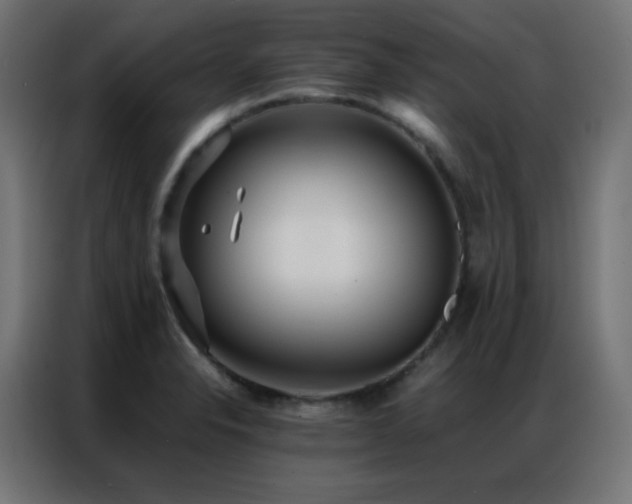X0000086921326200704161354