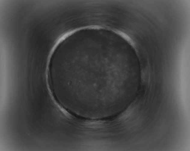 X0000086921327200704161354