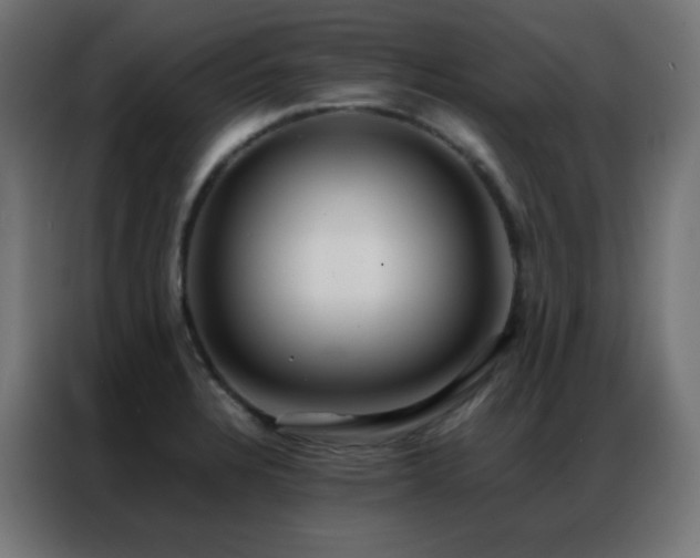 X0000086921328200704161354