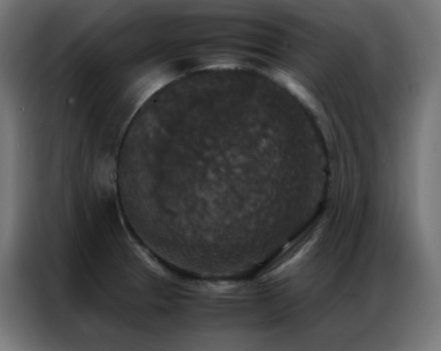 X0000086921329200704161354