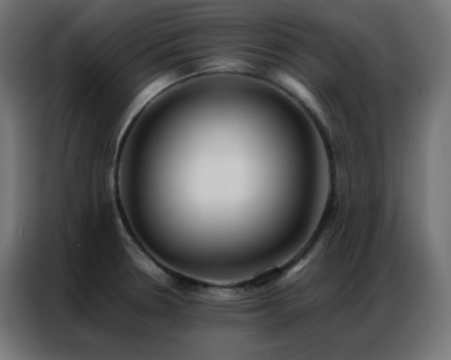 X0000086921330200704161354
