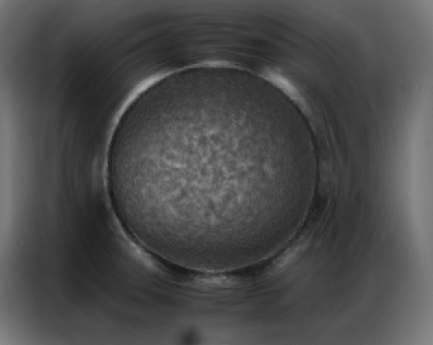 X0000086921331200704161354
