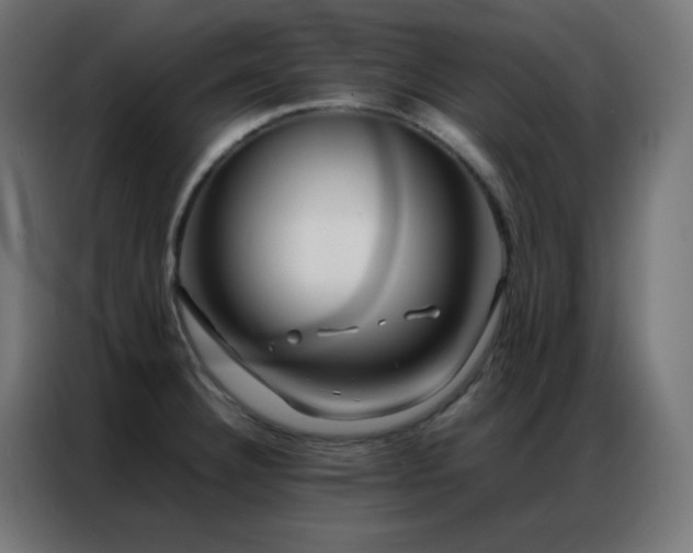 X0000086921332200704161354