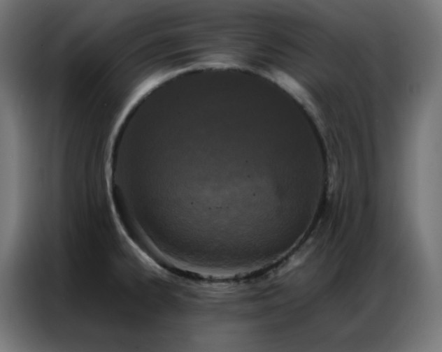X0000086921334200704161354