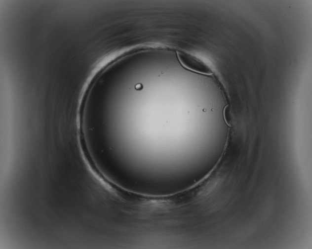 X0000086921335200704161354