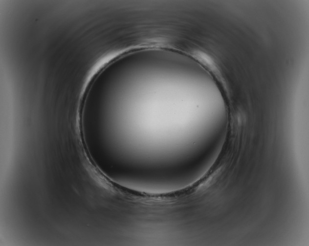 X0000086921336200704161354